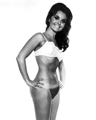 Dawn Wells - Mary Ann the nudist Porn Pictures, XXX Photos, Sex Images  #881034 - PICTOA