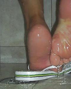 Hawaiian Brasilien #16820976