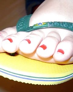 Hawaiian Brasilien #16821028