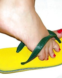 Hawaiian Brasilien #16821039