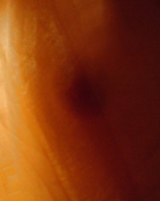 Das Bin Ich #11151340