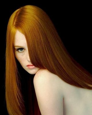 Modell- #13236132