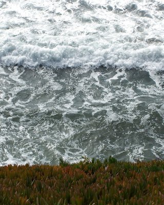 The beach and stuff oceanside California #7506989