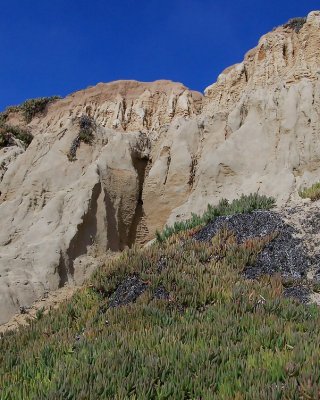 The beach and stuff oceanside California #7507151