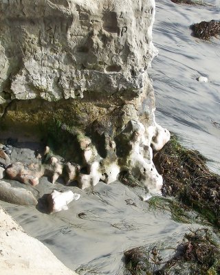 The beach and stuff oceanside California #7507174