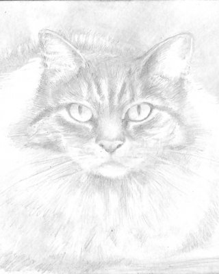 Kunst #16996809