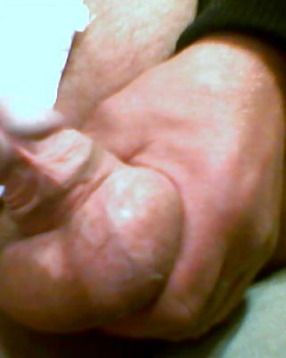 Mein Schwanz #13832099