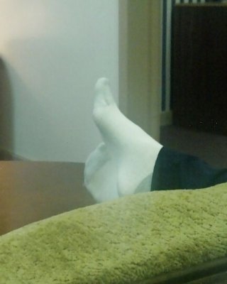 Weibliche Co-Arbeitskräfte Socken #17282783