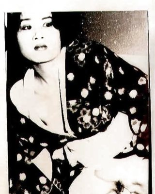 Japanische Vintage (wo) #374569