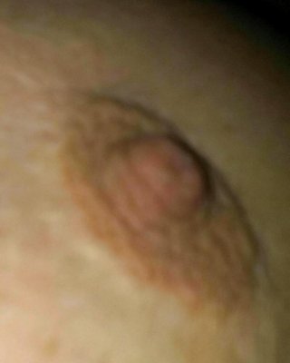 Nippel Pic #22562828