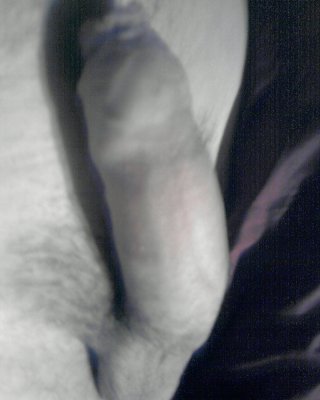 Mein Peniss #7424747