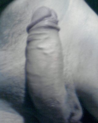 Mein Peniss #7424821