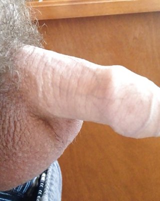 Meinen Schwanz #21965334