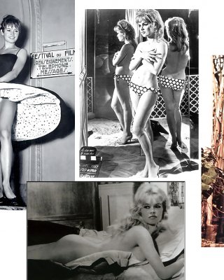 Wide Screen Layouts    Brigitte  Bardot