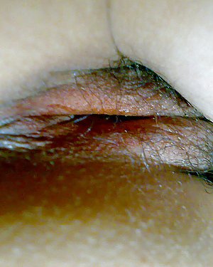 Ex Gf 10 #2758573