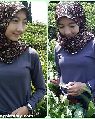 320px x 400px - Beauty & hot indonesian jilbab tudung hijab 2 Porn Pictures, XXX Photos,  Sex Images #902604 - PICTOA