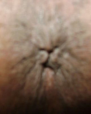Bahia #13744001
