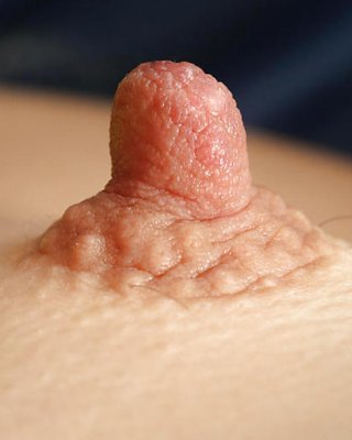 Mehr Harten Nippel Teil 2 #3426602