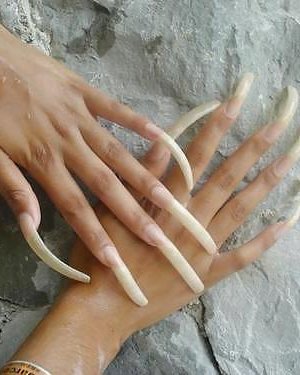 Longnailsfreak! #19489843
