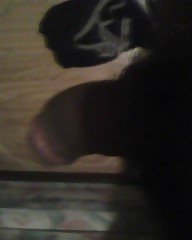 Mein Schwanz #3639782
