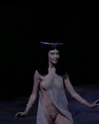 Hammomda tukli rus mushuklari