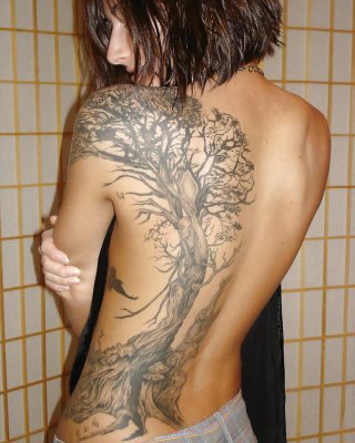 (Bd) Vielleicht Nur Eine Tätowierung Pt.3 #21726492