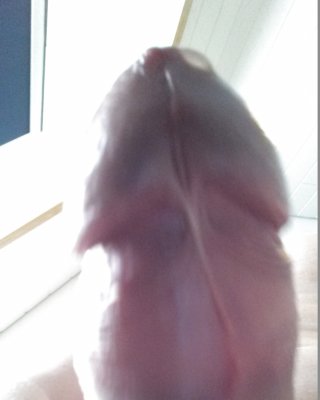 Neues #25091611