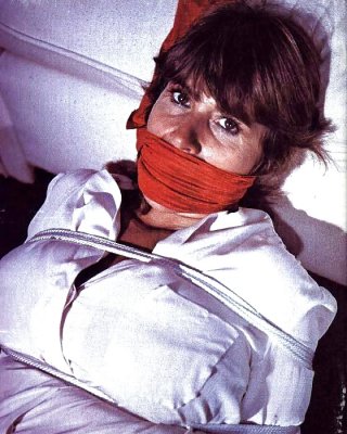 Vintage Bdsm - Uschi Digard #34709975