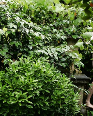 Bilder, Die Mich Schwer Machen #23925762