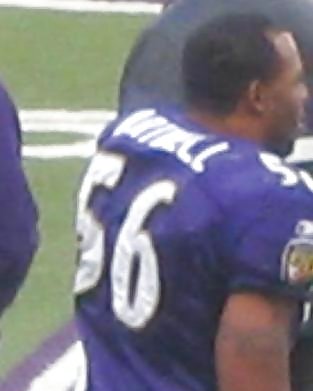 Football Booty: Ed Hartwell #28733542