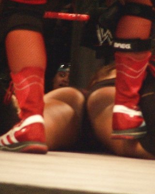 Mickie James Ass 