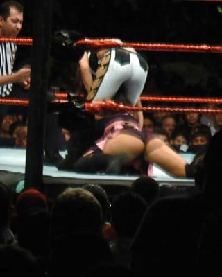 Mickie James Ass 