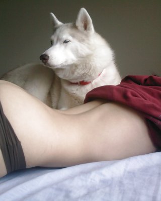 Sexy Asian Girl With White Husky