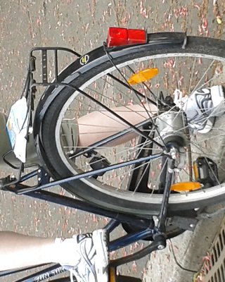 Was Denken Sie? #24130690
