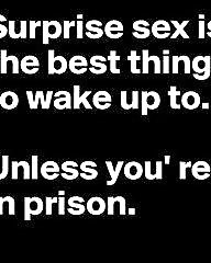 Mixed Funny and Sexy Quotes 6 #40515313