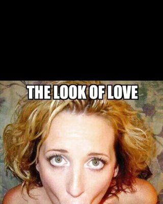 Mixed Funny and Sexy Quotes 6 #40515394