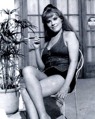 Wendy Richard #28507656