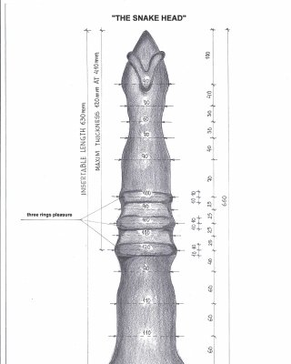 Desing Dildos Colecction #40579995