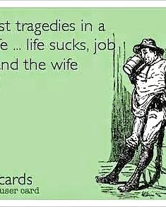 Random Funnies #32494474