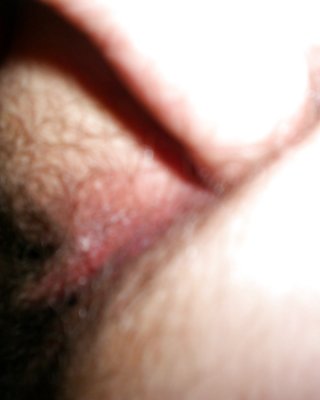 Sue Wilson #32817522