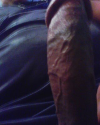 Dick #41015609