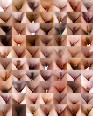 Type of pussy 