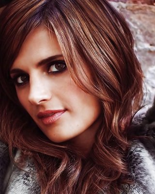 Stana Katic