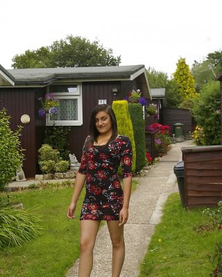 Briten Haben 2 #39801160