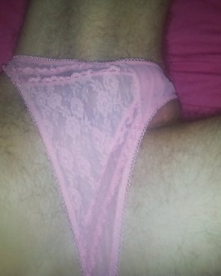 Rosa #24392492