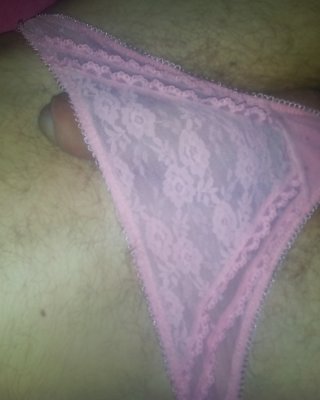 Rosa #24392498