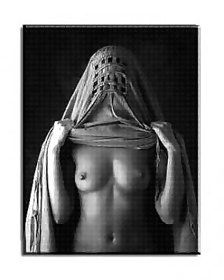 Niqab #26467480