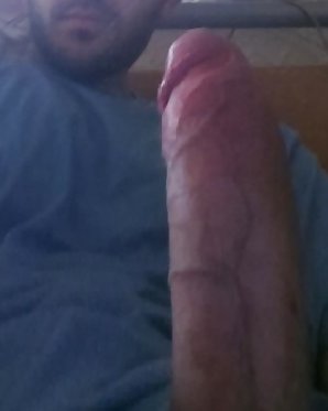 Fter schwanz
 #32305464