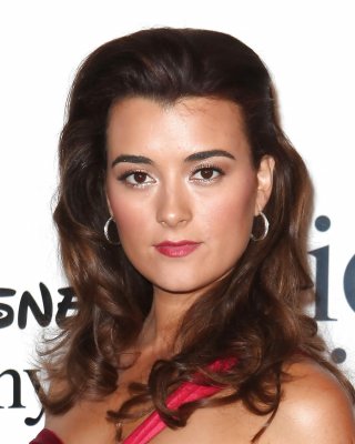 Cote de pablo - sexy latina babe!
 #35317346
