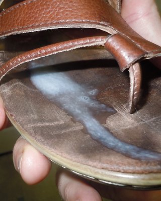 Wifes Schuhe #28340411